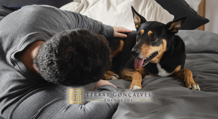 hotel-para-cachorro-deve-indenizar-cliente